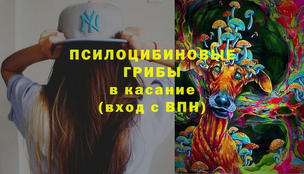 эйфоретик Бородино