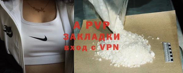 эйфоретик Бородино