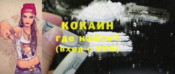 эйфоретик Бородино