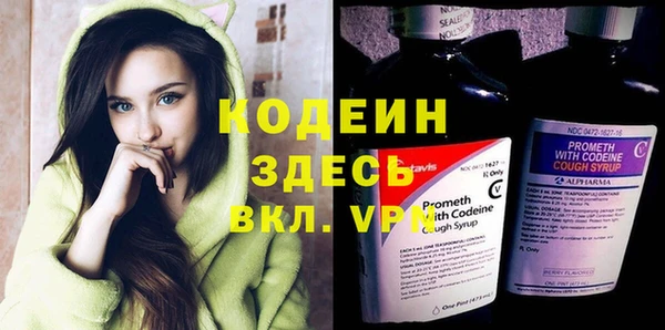 эйфоретик Бородино