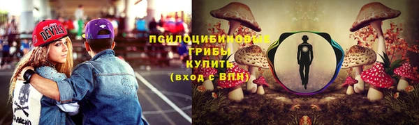 эйфоретик Бородино