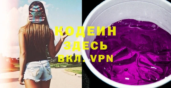 эйфоретик Бородино