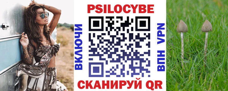купить  цена  Сыктывкар  Галлюциногенные грибы Magic Shrooms 